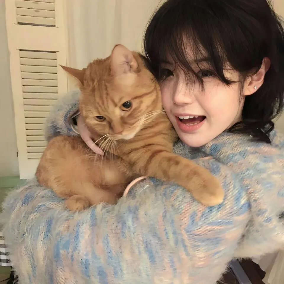 拉丁歌王